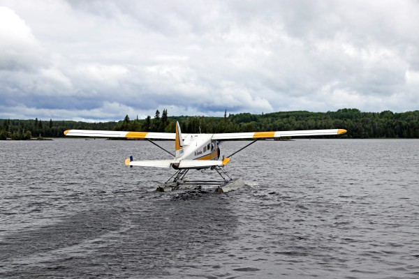 Beaver Bush Plane by Deb Oppermann